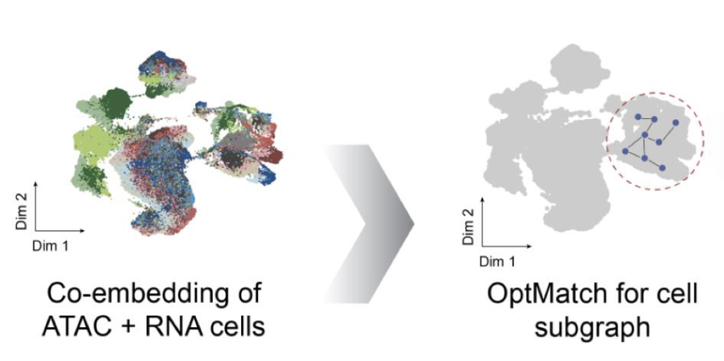 FigR accepted in Cell Genomics