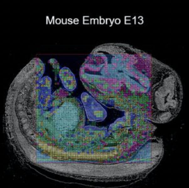Spatial chromatin accessibility work accepted in Nature